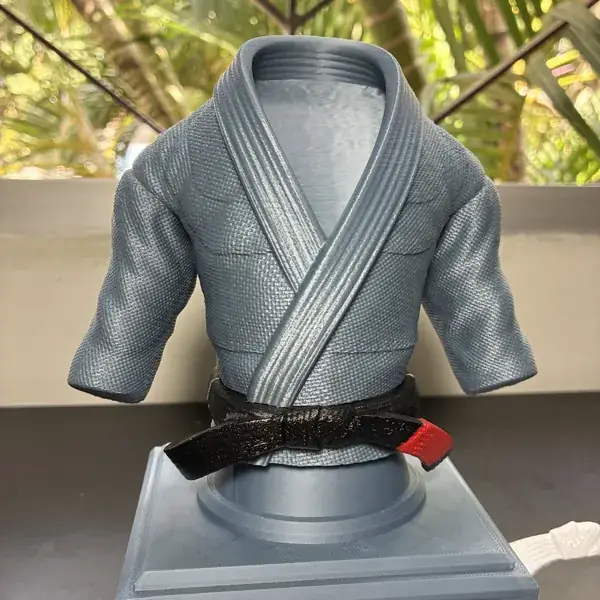 Kimono de Jiu-Jitsu foto miniatura